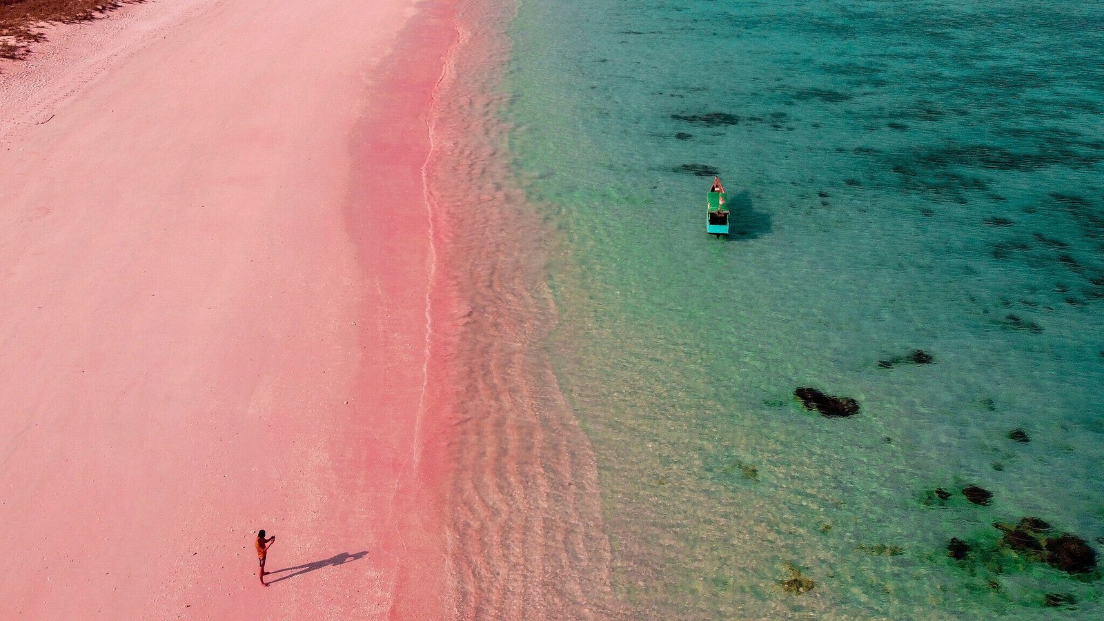 Komodo Pink beach Playa rosa