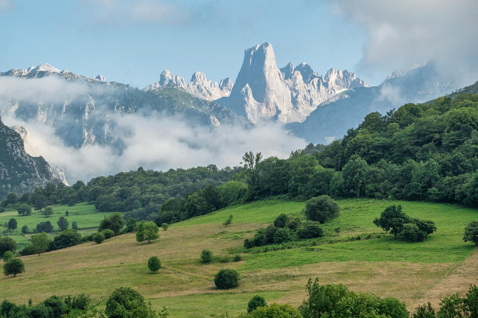 Naturaleza España
