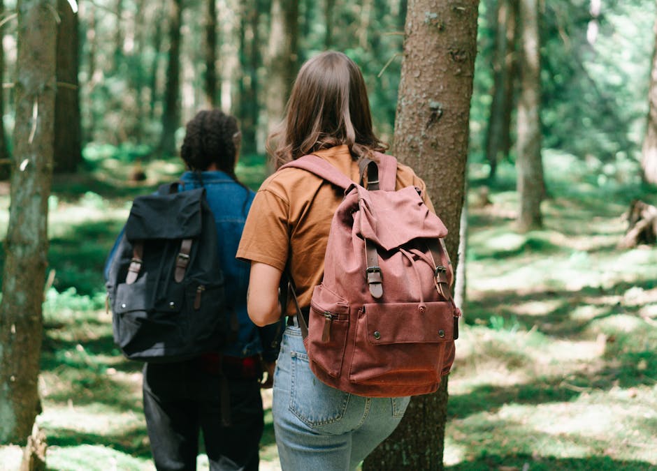 Two hikers with backpacks explore a dense forest path, surrounded by tall trees and greenery.