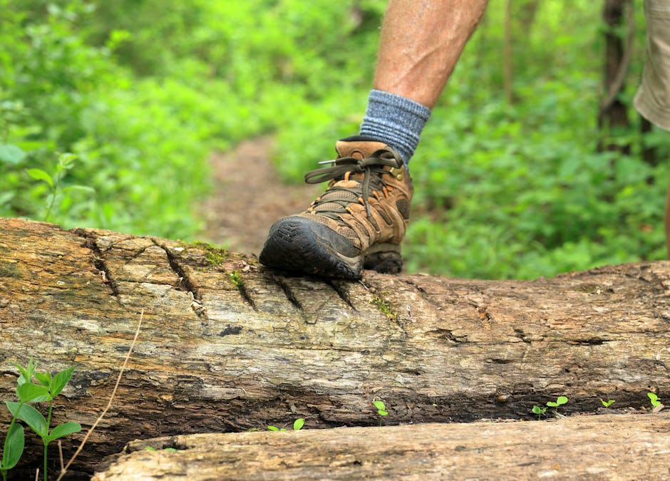 A hiker's boot stepping over a fallen log on a lush forest trail, representing outdoor adventure.