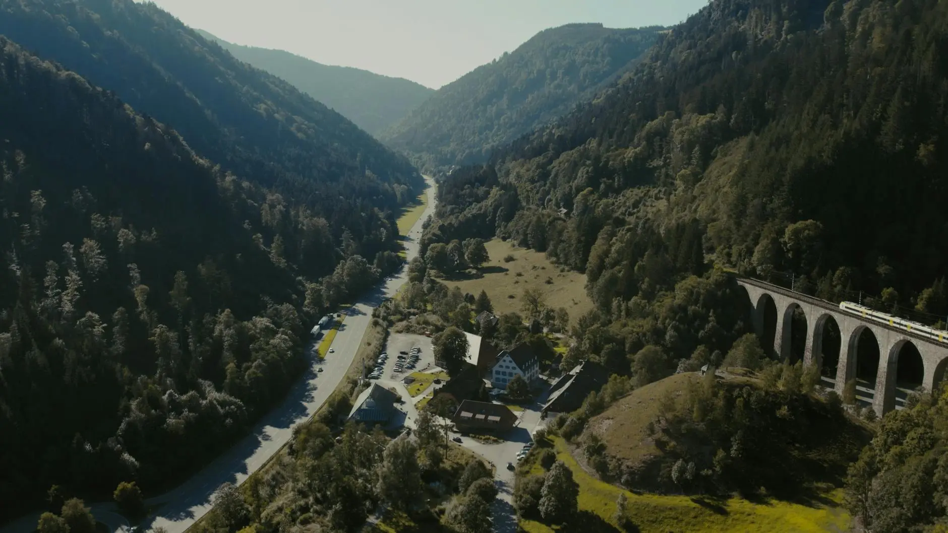 Selva: vista panorámica