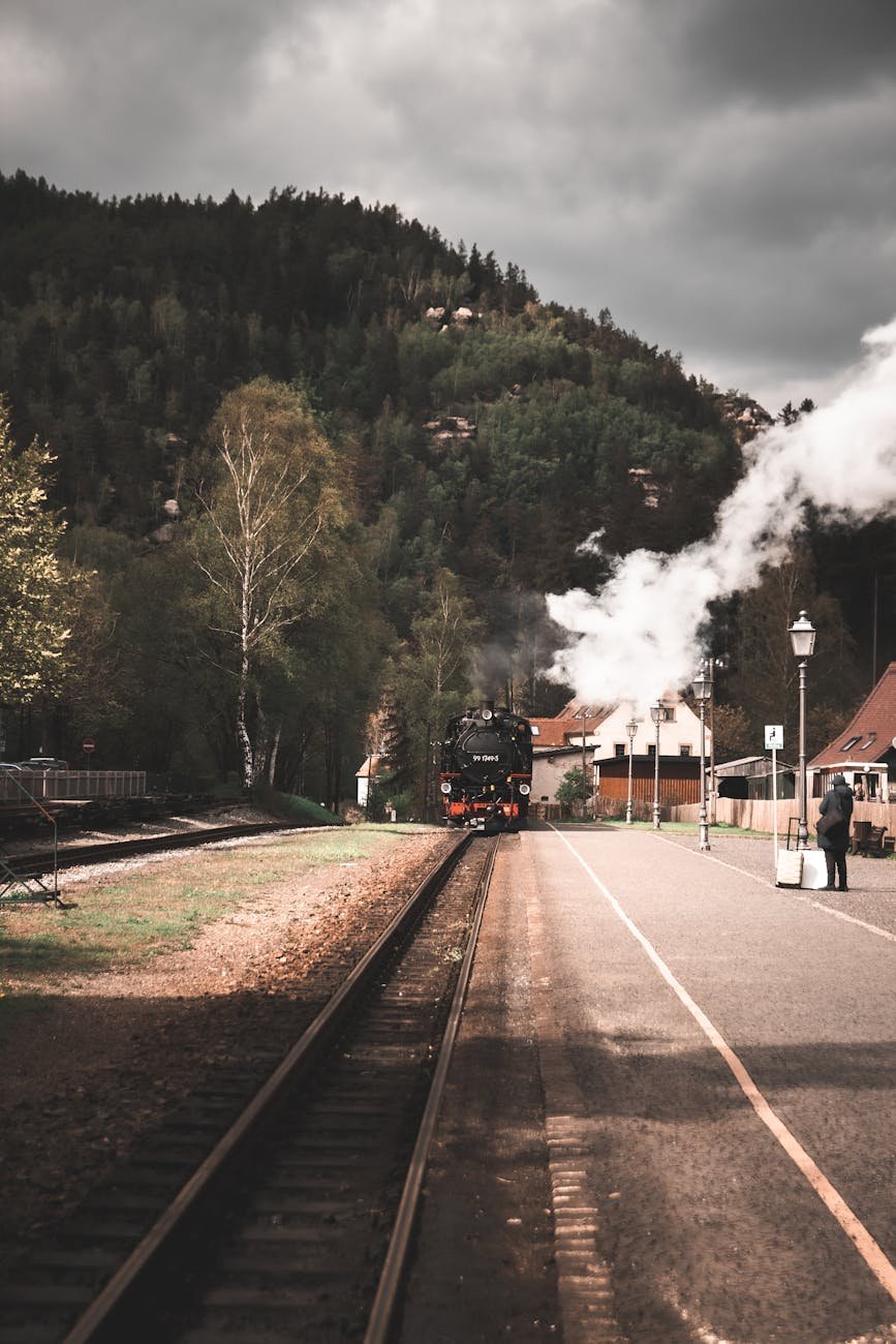 Selva Negra Alemania, tren y paisajes