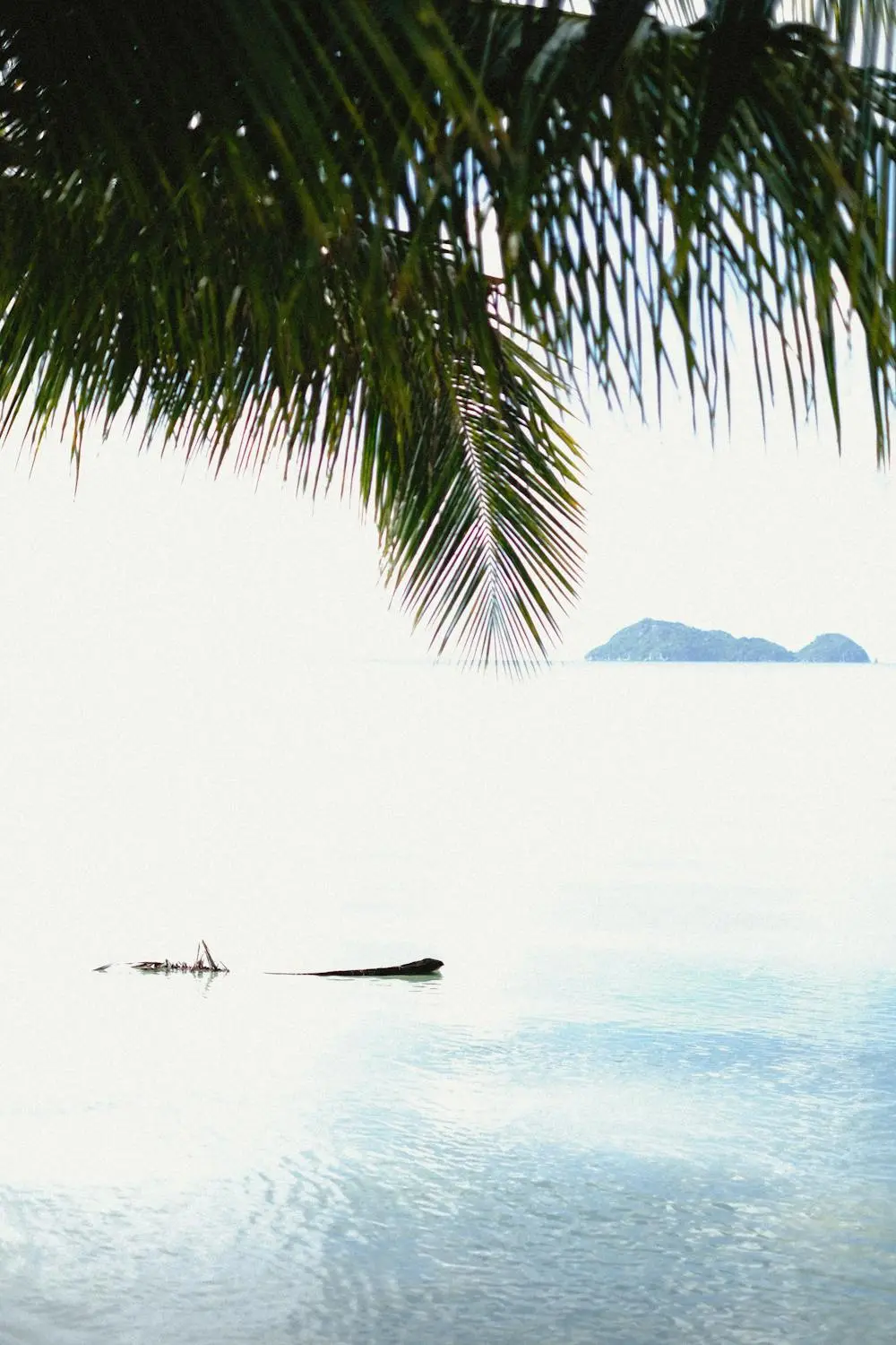 Atardecer en Seychelles: colores y ambiente local