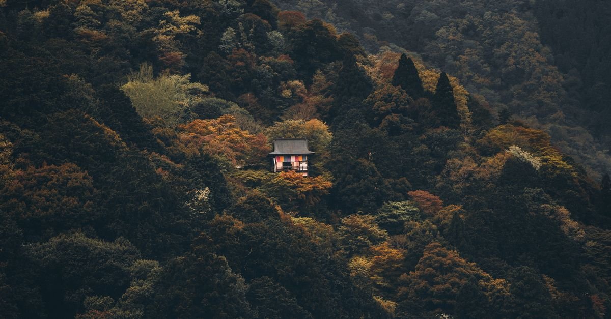 Templo en Kioto entre la niebla y la montaña