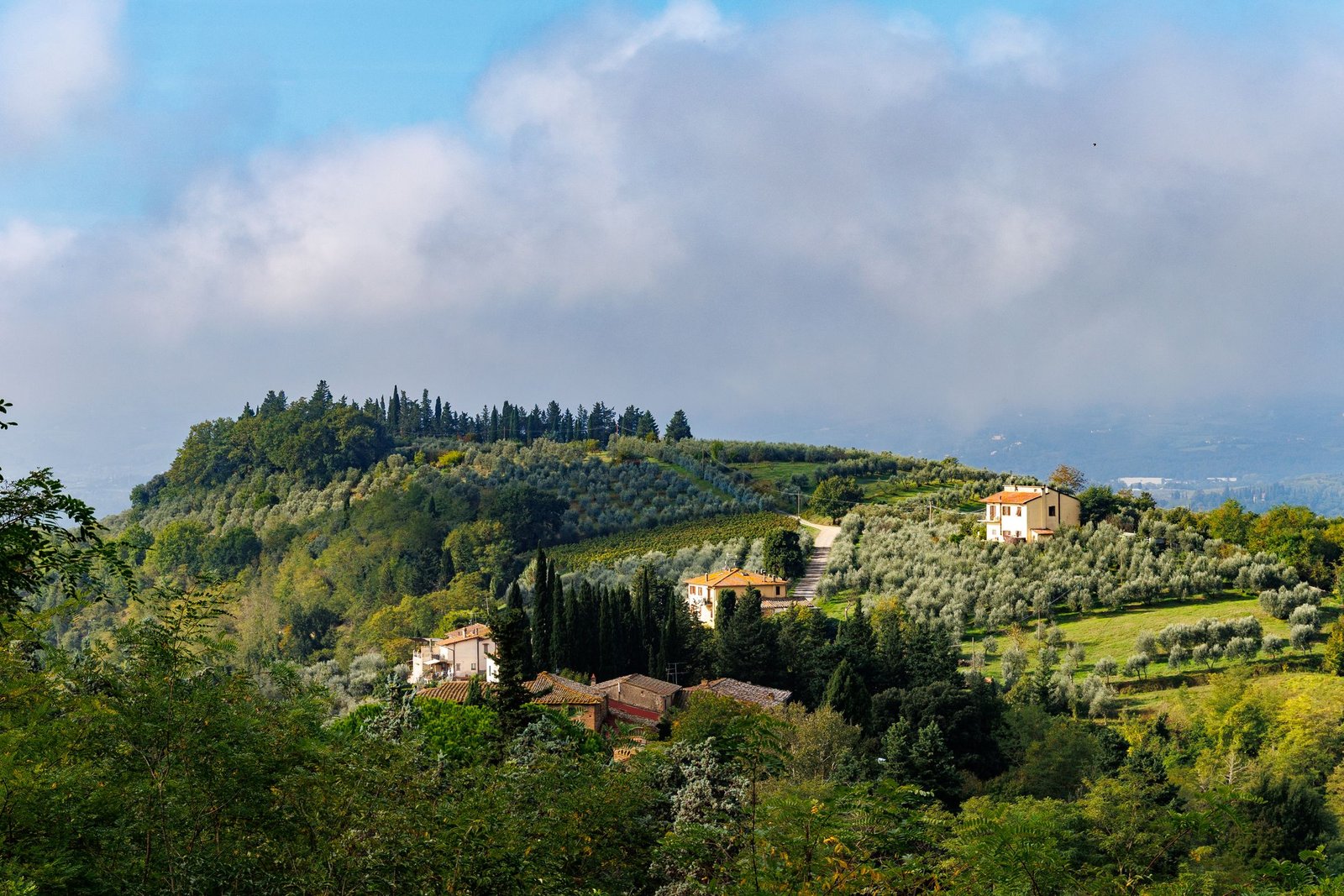 Viñedos de la Toscana