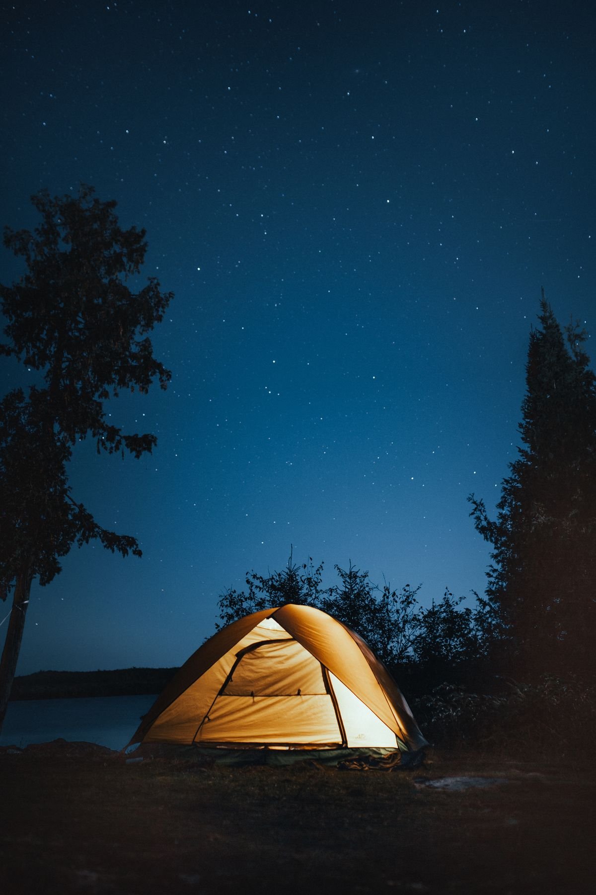 Tienda de campaña en el bosque, glamping