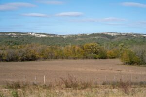 Ruta del vino en La Rioja imagen 1