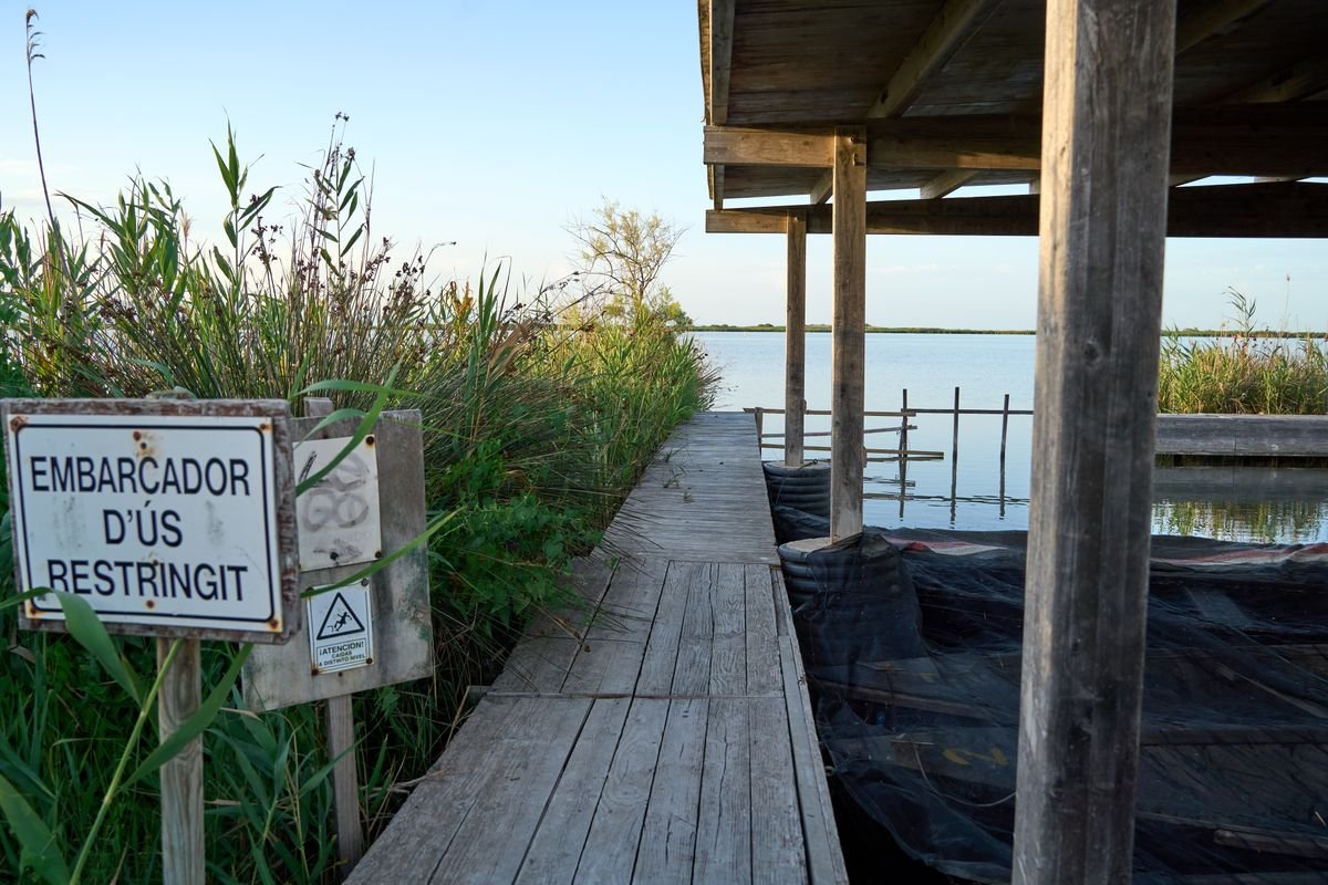 Embarcadero de madera en los canales del Delta