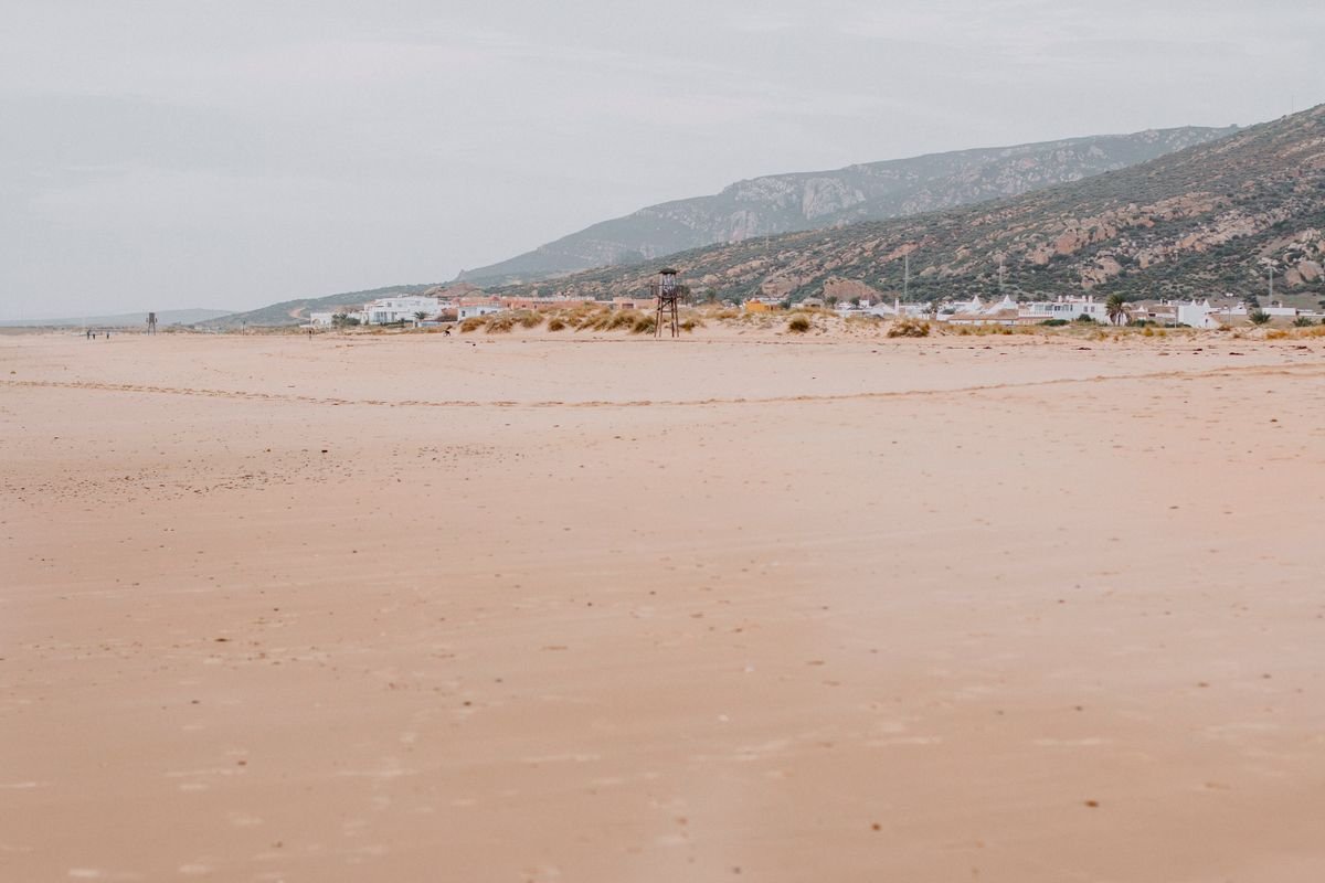 Costa salvaje de Tarifa con pinos y arena dorada junto al Atlántico