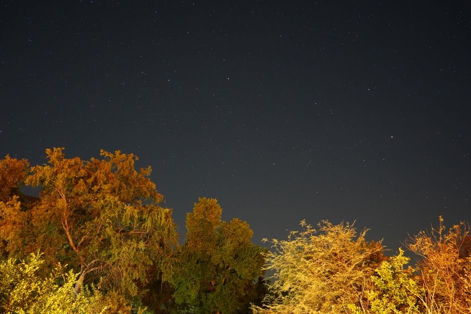Cielo estrellado paisaje nocturno