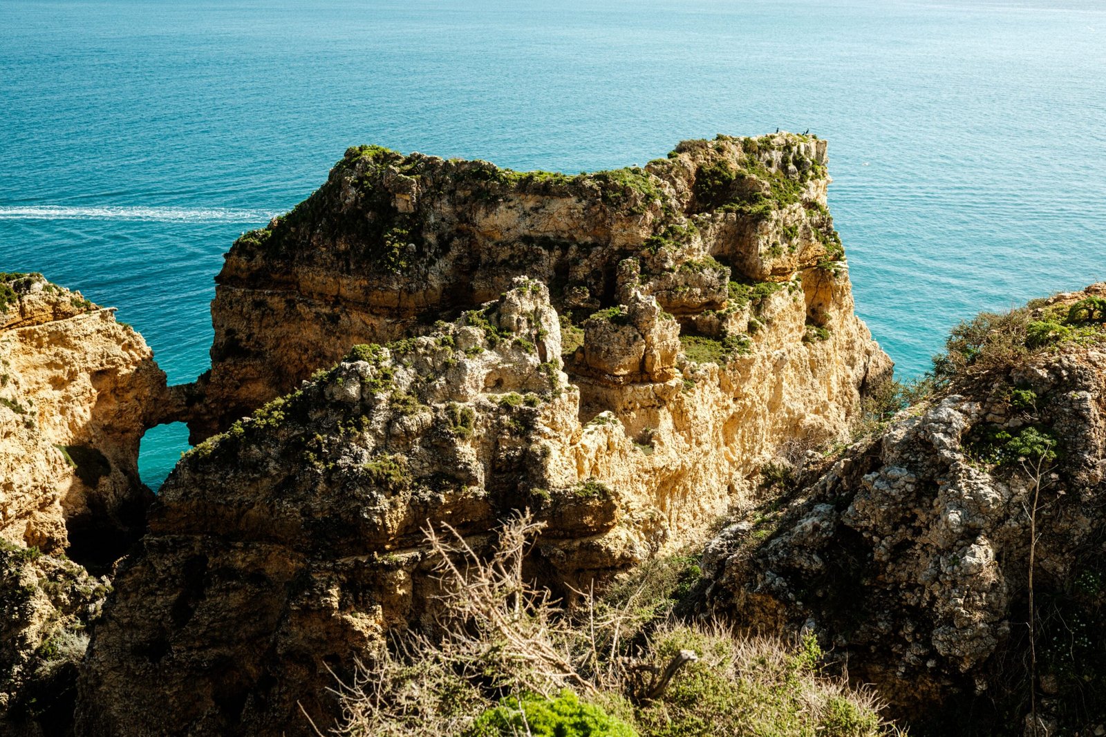 Acantilados del Algarve portugués con vegetación y aguas turquesas del Atlántico