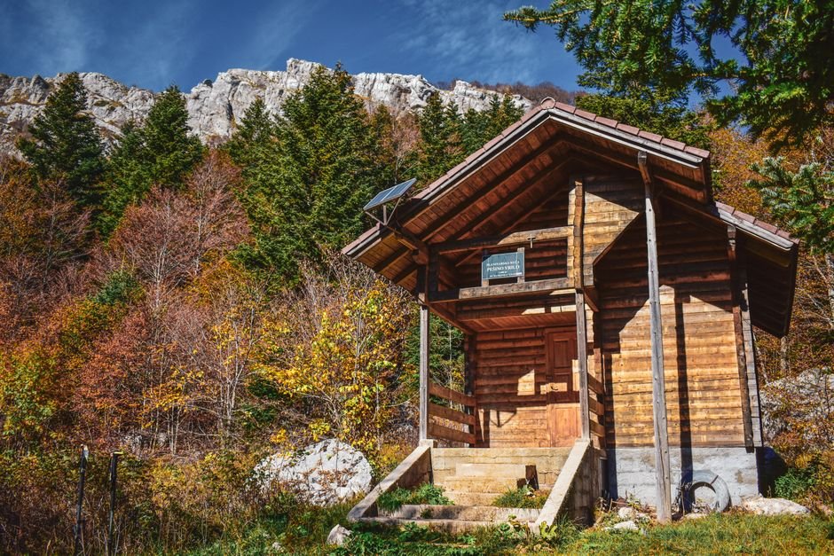 Cabaña de madera rústica en medio de un bosque frondoso con montañas al fondo