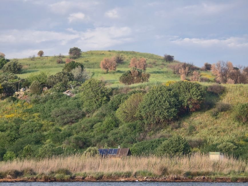 Colina verde con cabaña ecológica dotada de paneles solares junto a un bosque
