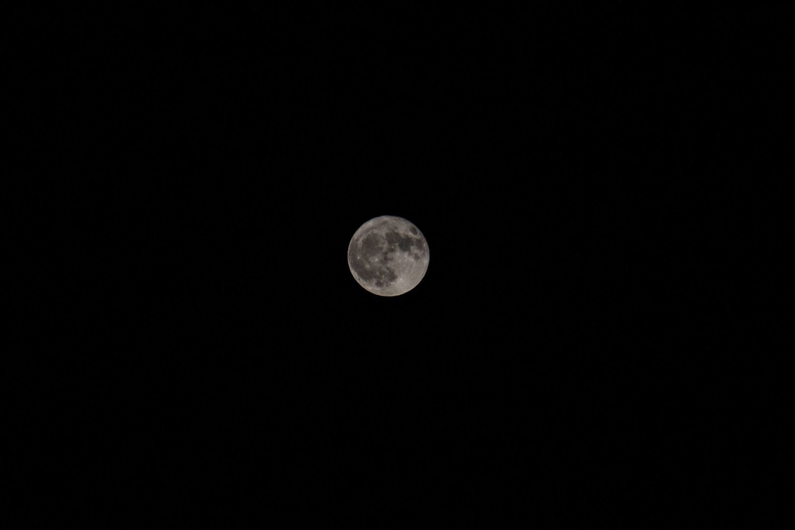Luna llena iluminando el cielo nocturno