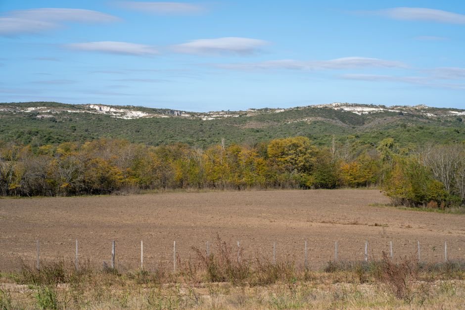 Paisaje otonal con campos dorados bajo un cielo amplio