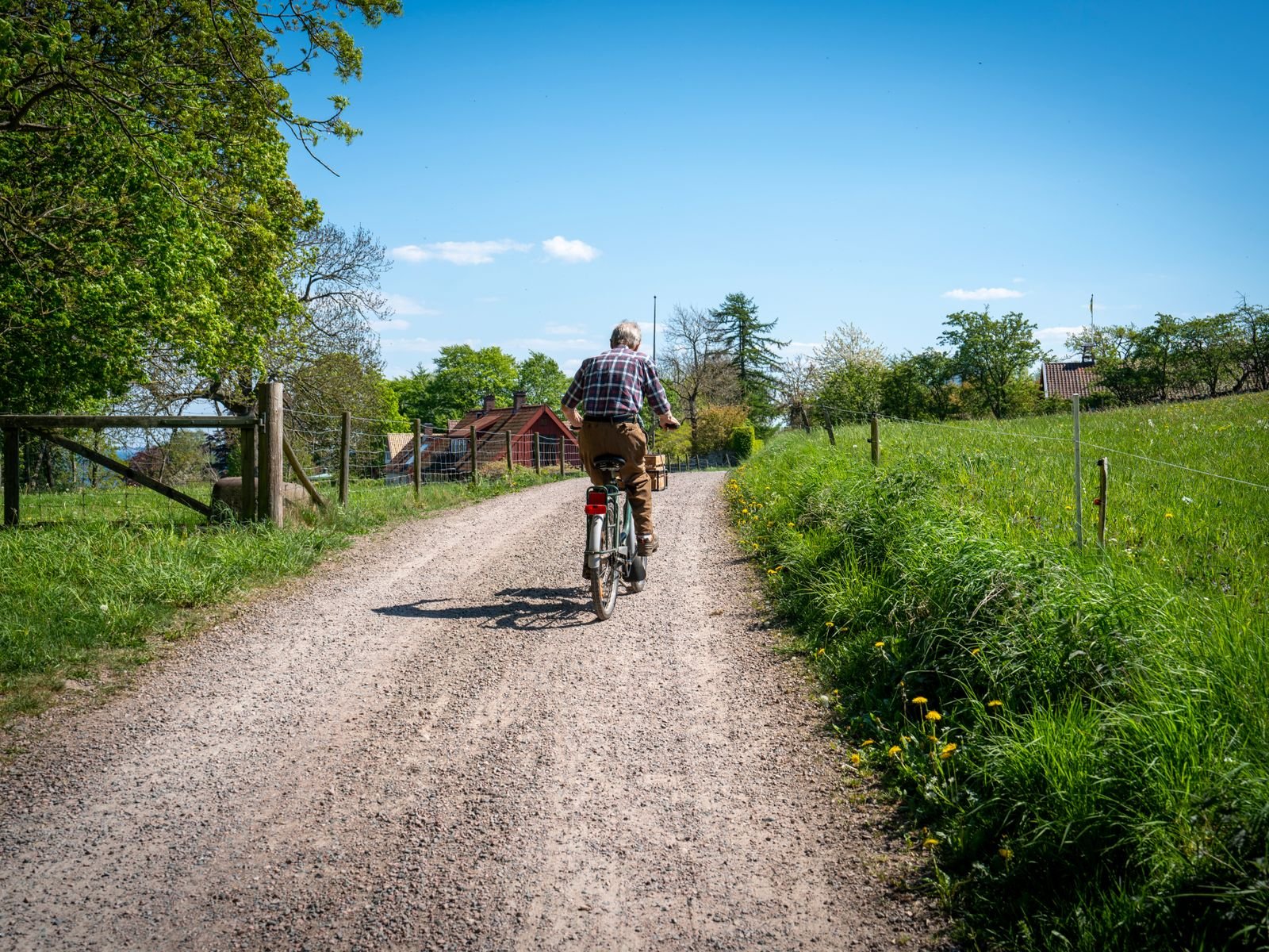 Persona pedaleando sin prisa por un camino de tierra rodeado de campo, ideal para principiantes
