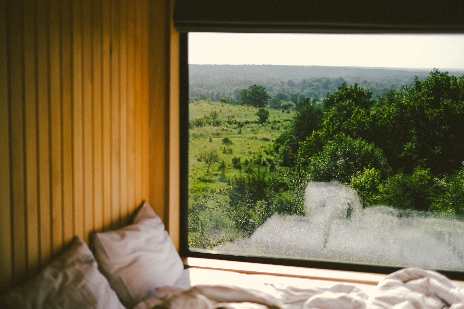 Habitación de eco-hotel con vistas al bosque — alojamiento sostenible
