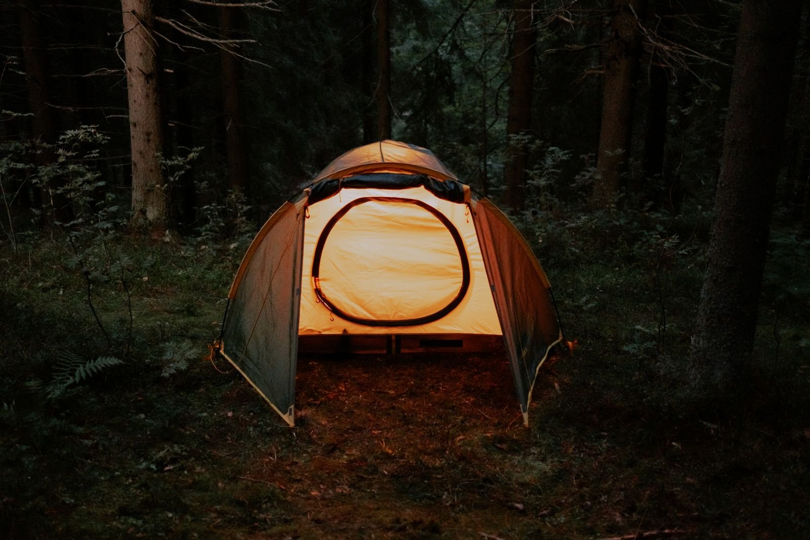 Tienda de campaña iluminada de noche en un bosque sereno