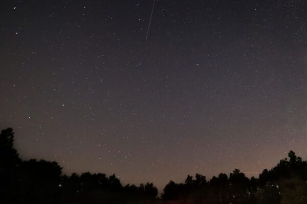Lluvia de estrellas Gemínidas: meteoro cruzando un cielo nocturno estrellado
