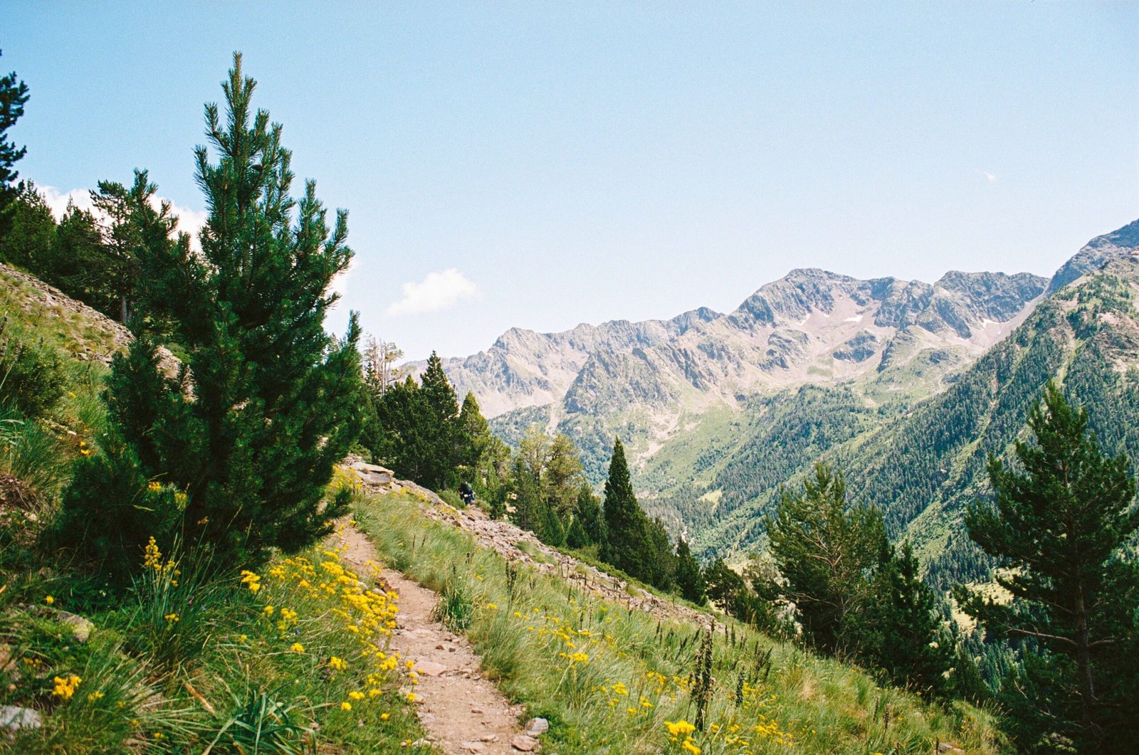 Sendero de montaña con vistas panorámicas en los Pirineos - ruta de senderismo