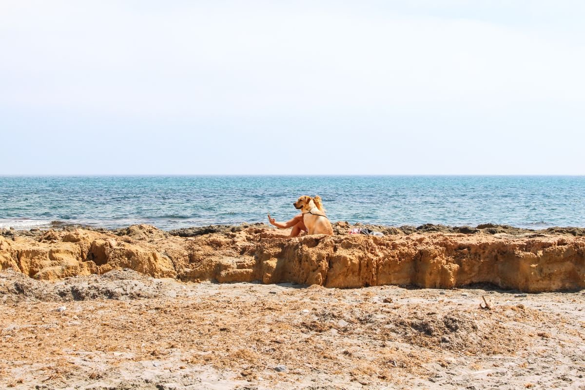 Playa de Alicante en un día soleado de verano