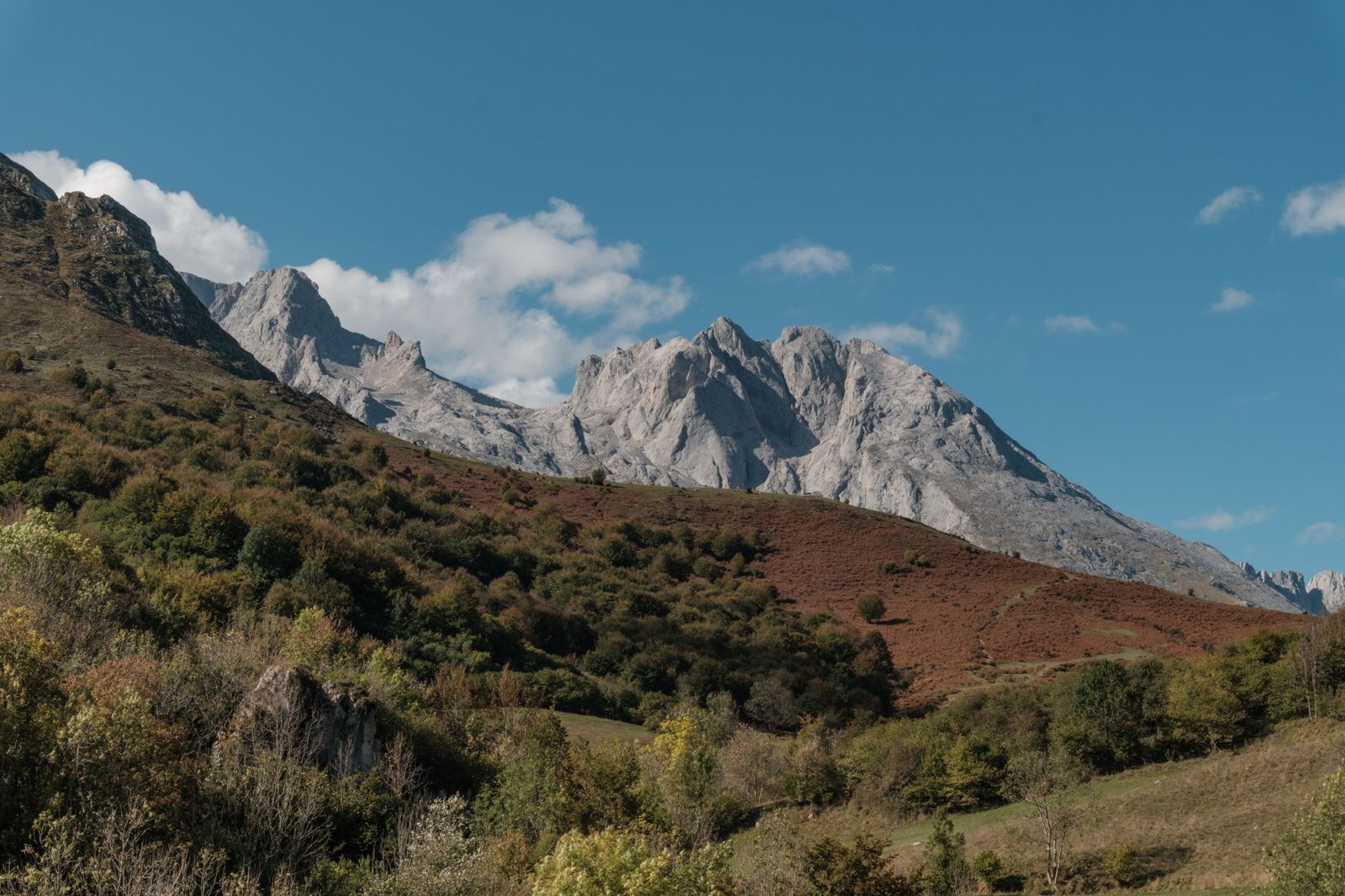 Paisaje de montaña verde en Asturias con cumbres al fondo