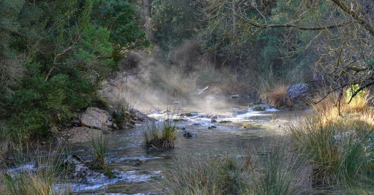 Río tranquilo rodeado de vegetación en plena naturaleza española