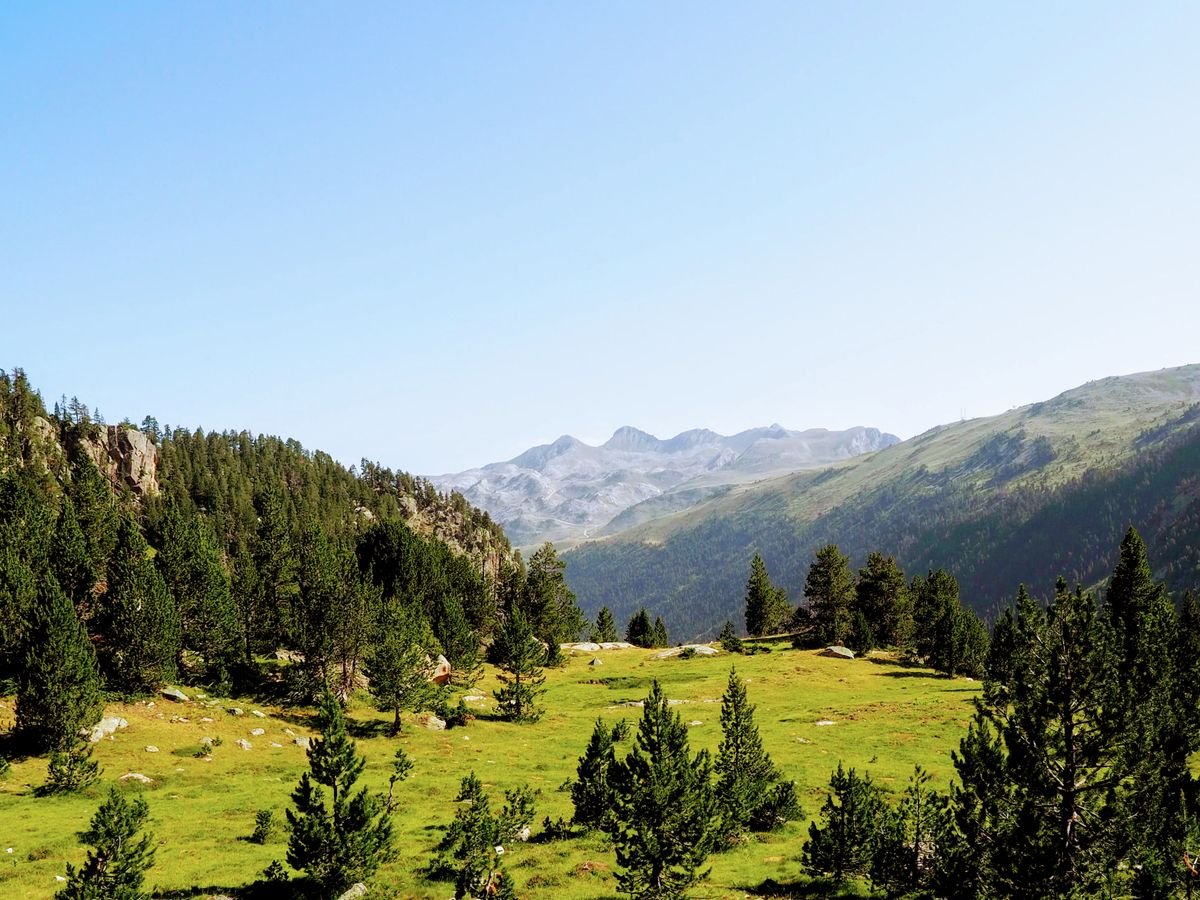 Valle montañoso con vegetación en los Pirineos catalanes durante el verano