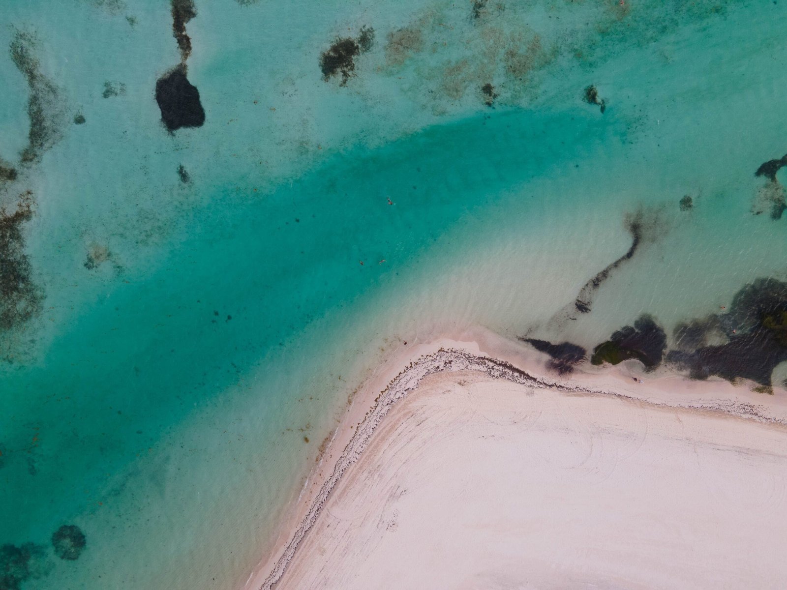Playa de arena blanca y aguas turquesas en el Caribe