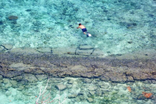 Snorkel visto desde arriba en aguas cristalinas de arrecife