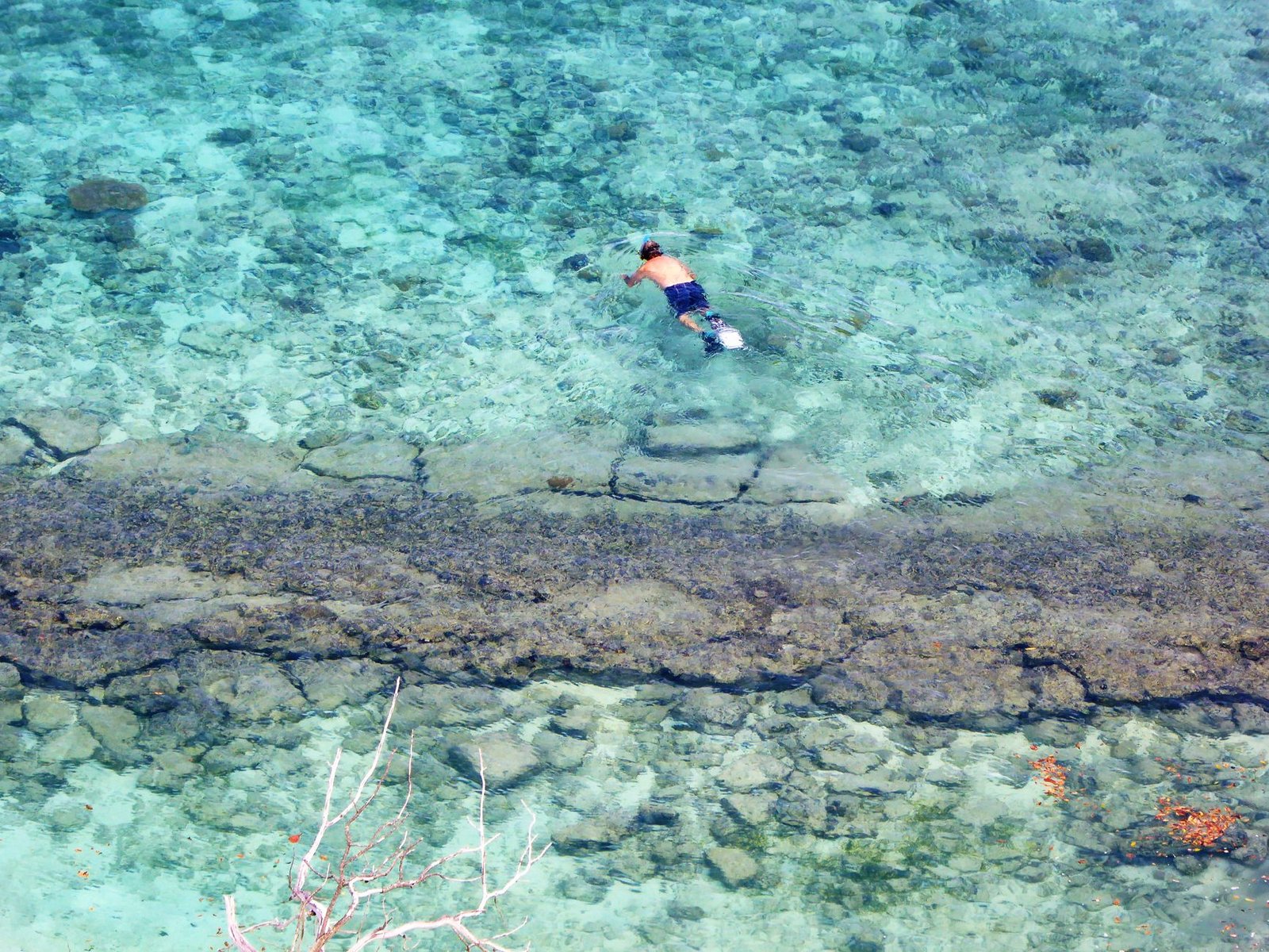 Snorkel visto desde arriba en aguas cristalinas de arrecife