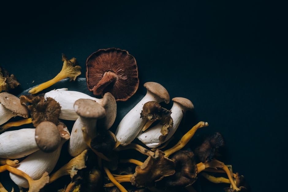 Primer plano de setas silvestres variadas con texturas naturales