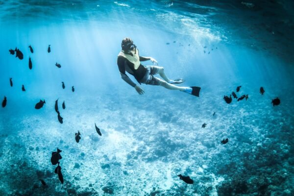 Persona haciendo snorkel entre vida marina tropical