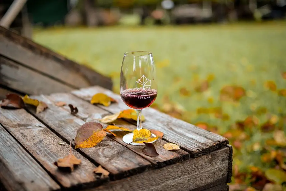 Copa de vino tinto en mesa rústica rodeada de hojas otoñales