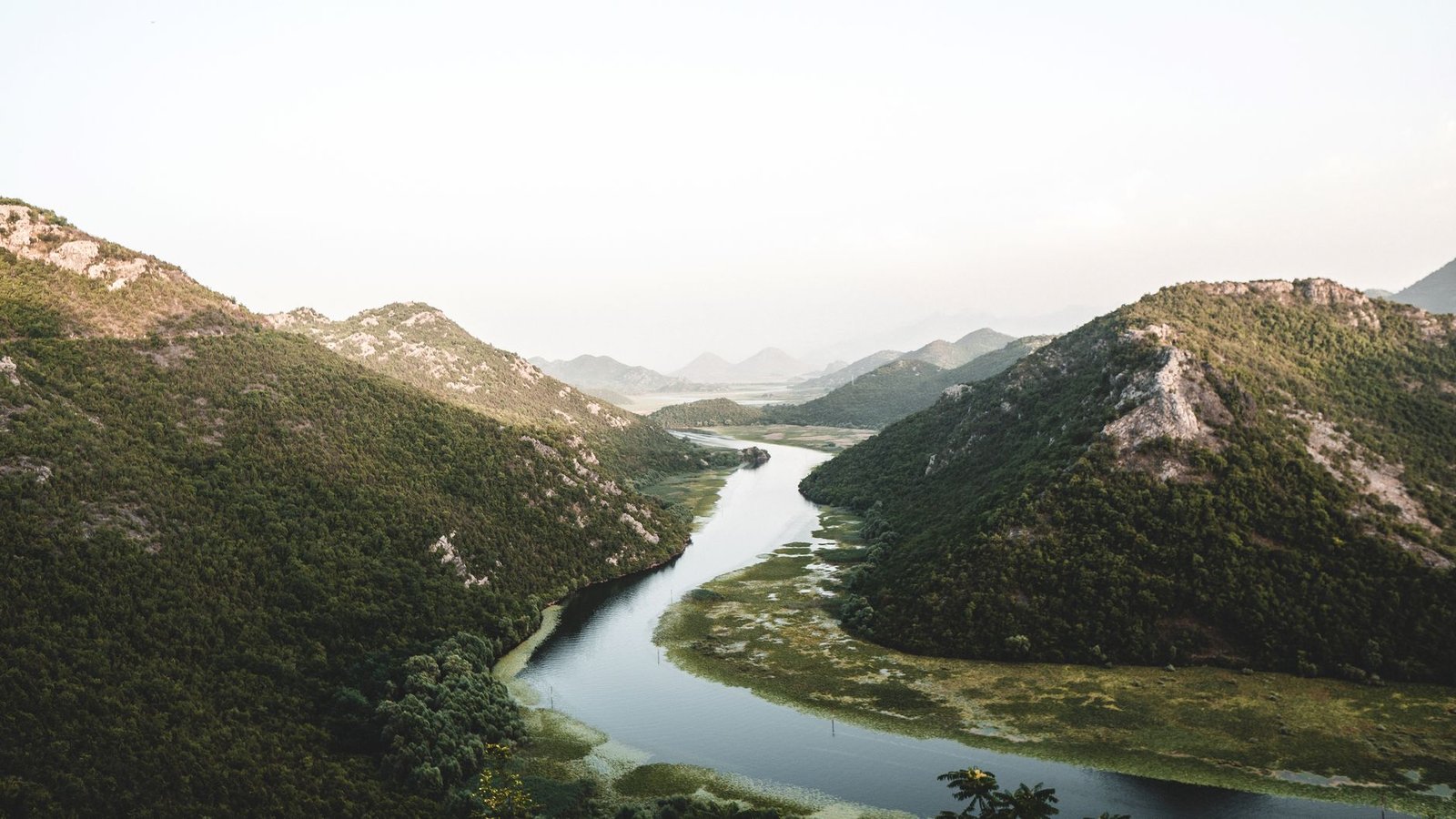 Río Rijeka Crnojevića serpenteando junto al lago Skadar, Montenegro