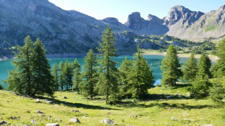Lago de montaña de origen glaciar rodeado de bosque y sierras