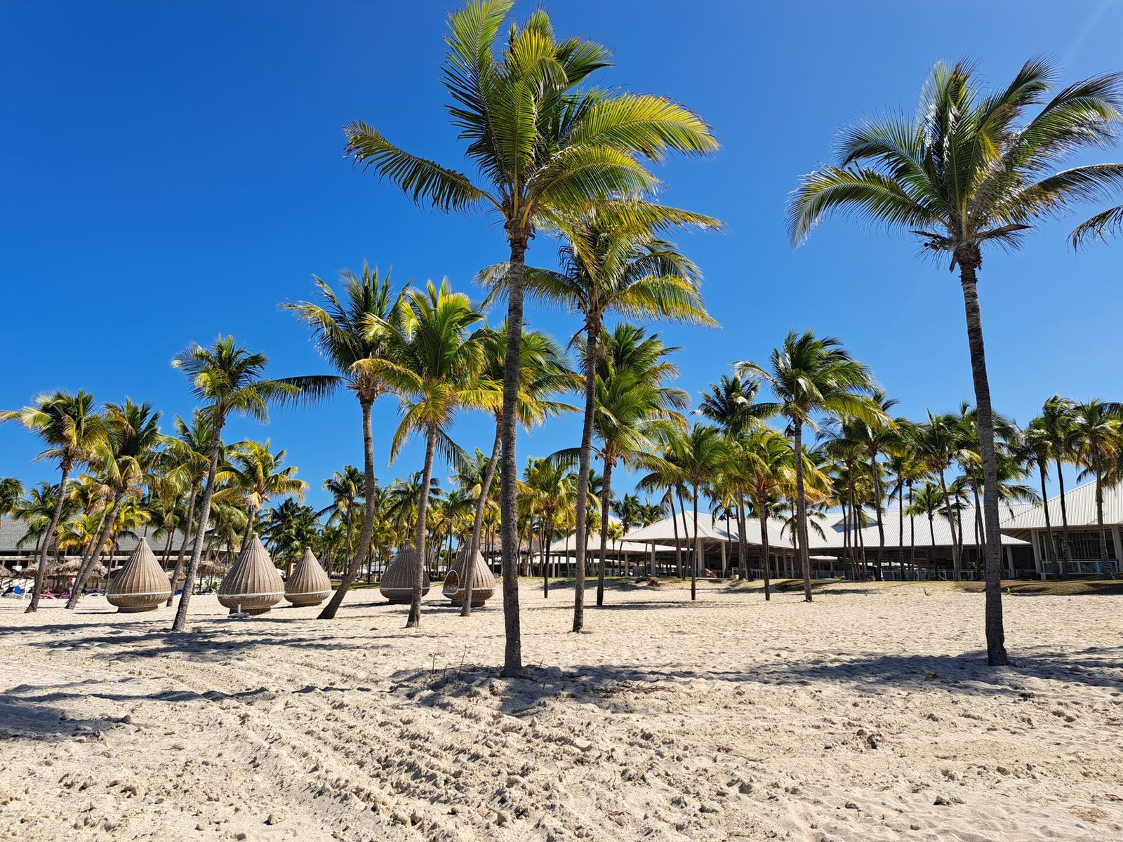 Playa de arena blanca y palmeras en Varadero, Cuba