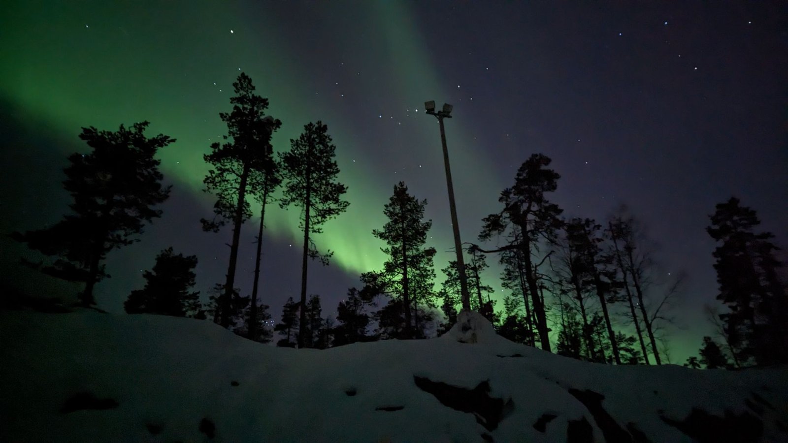 Aurora boreal verde sobre un bosque nevado en Laponia