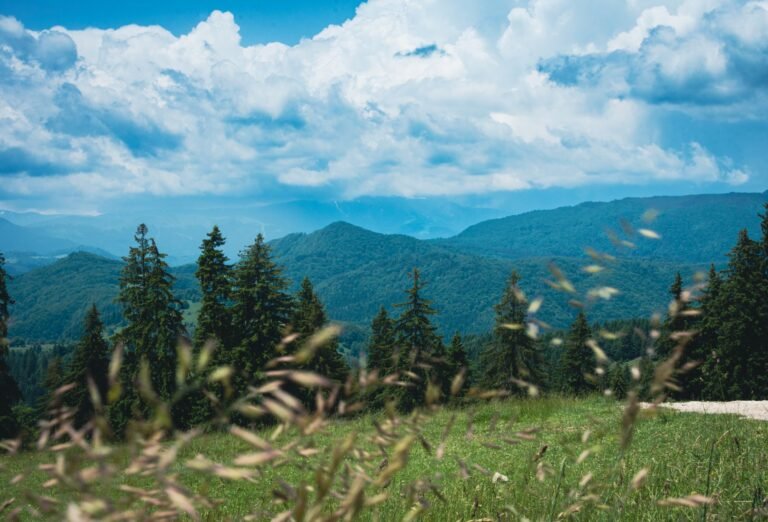 Paisaje de montañas y bosques en verano cerca de Brașov, en Transilvania
