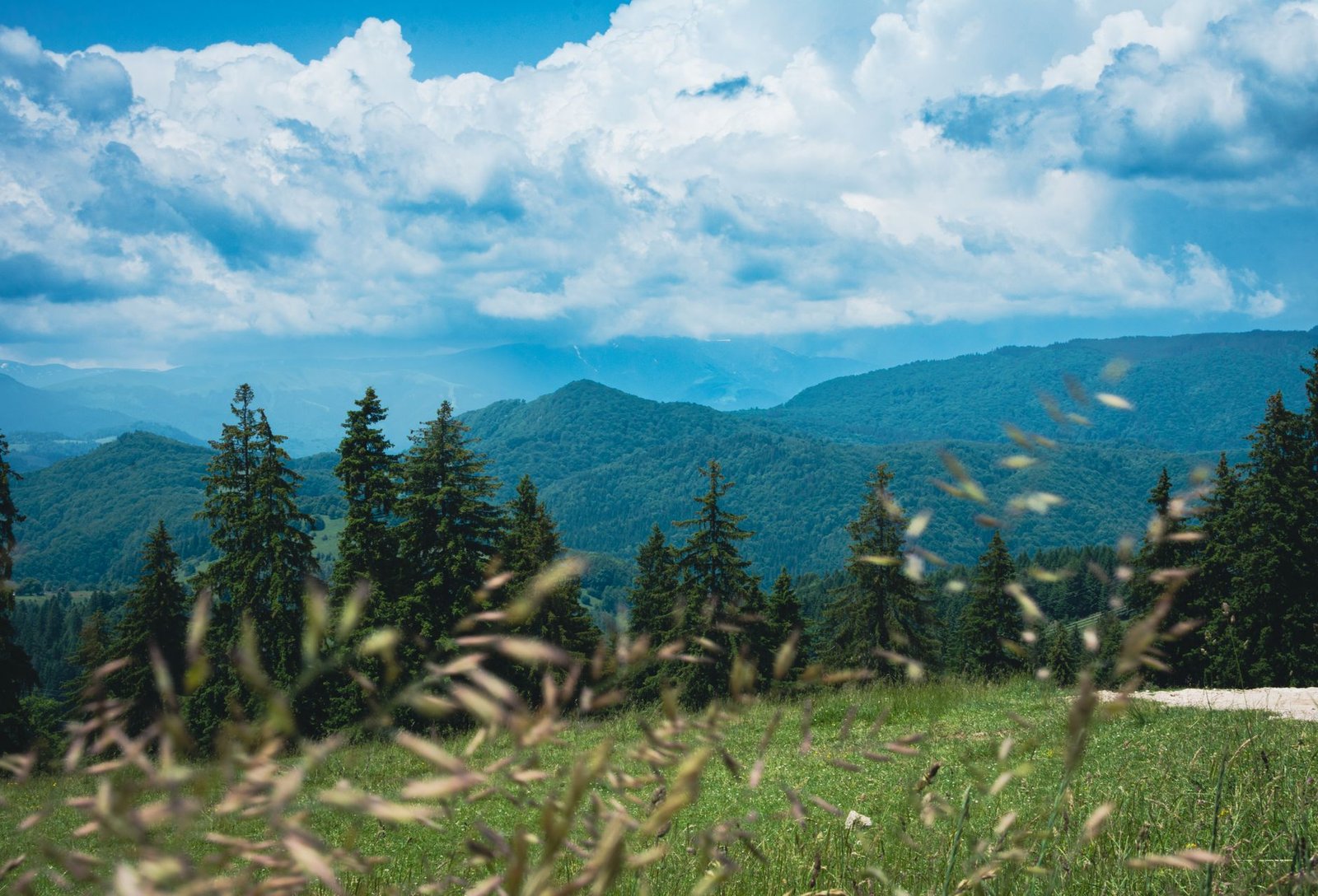 Paisaje de montañas y bosques en verano cerca de Brașov, en Transilvania