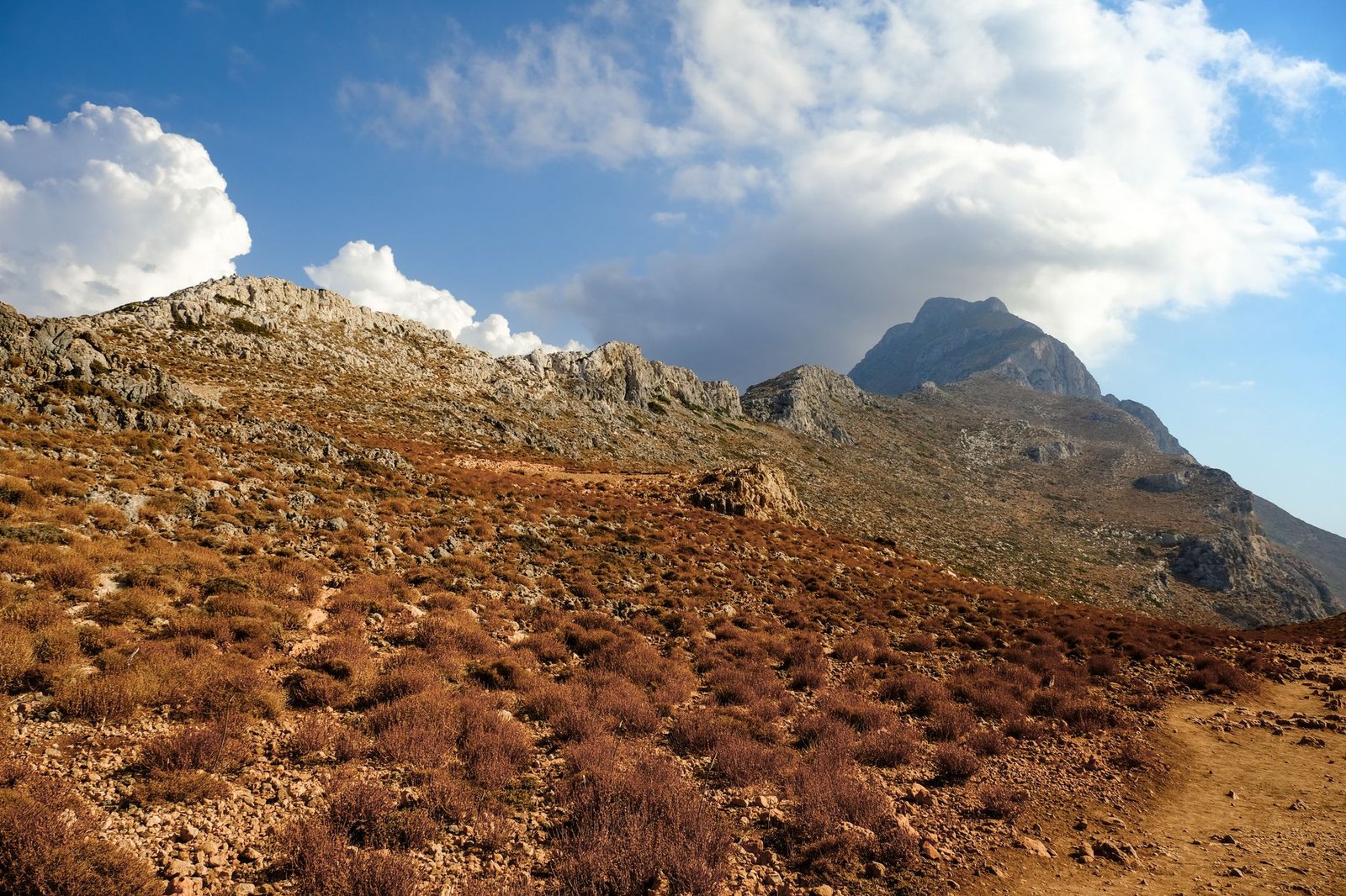 Paisaje de sierra mediterránea con matorral y terreno rocoso bajo cielo despejado, similar al entorno de la Sierra de Alcaraz