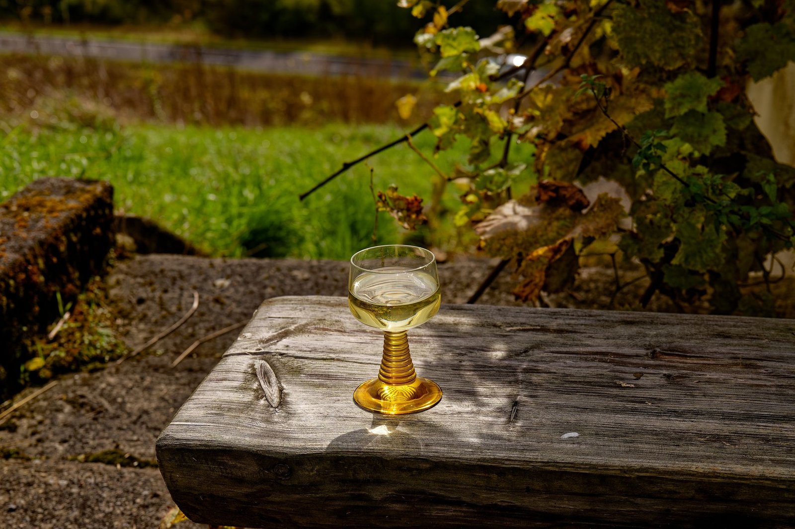Copa de vino blanco al aire libre en un viñedo, como el vino de malvasía volcánica de Lanzarote