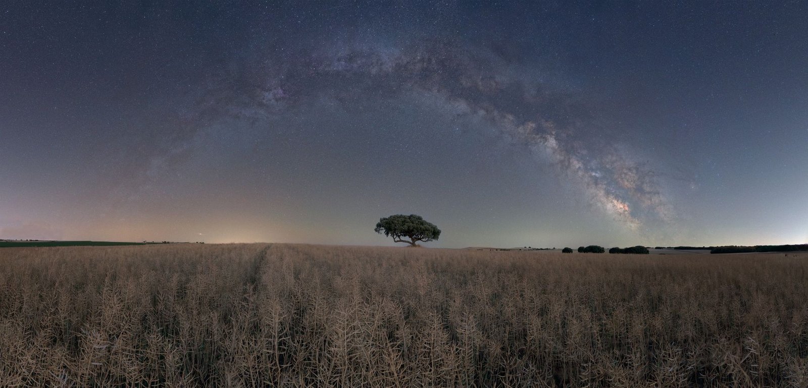 La Vía Láctea sobre un campo abierto en un cielo sin contaminación lumínica