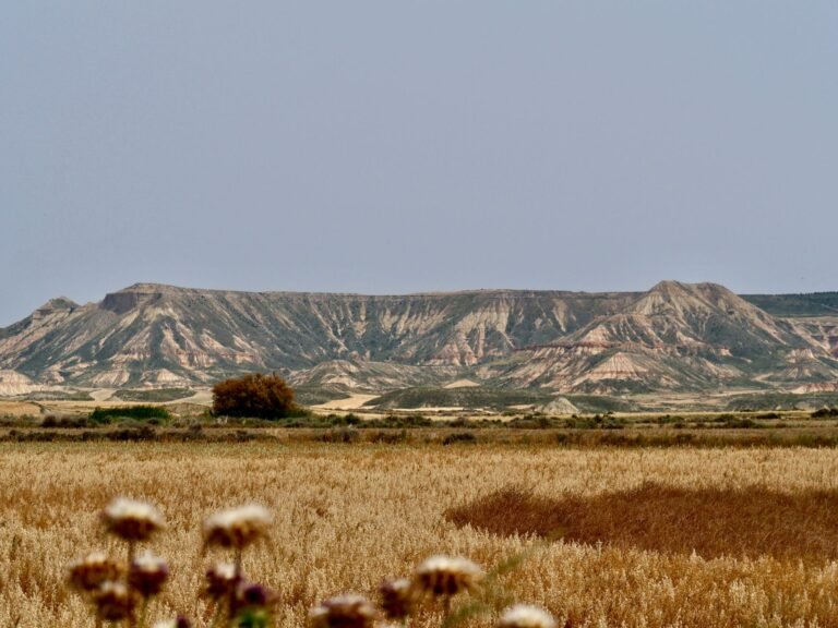 Formaciones rocosas y cárcavas del semidesierto de las Bardenas Reales, Navarra