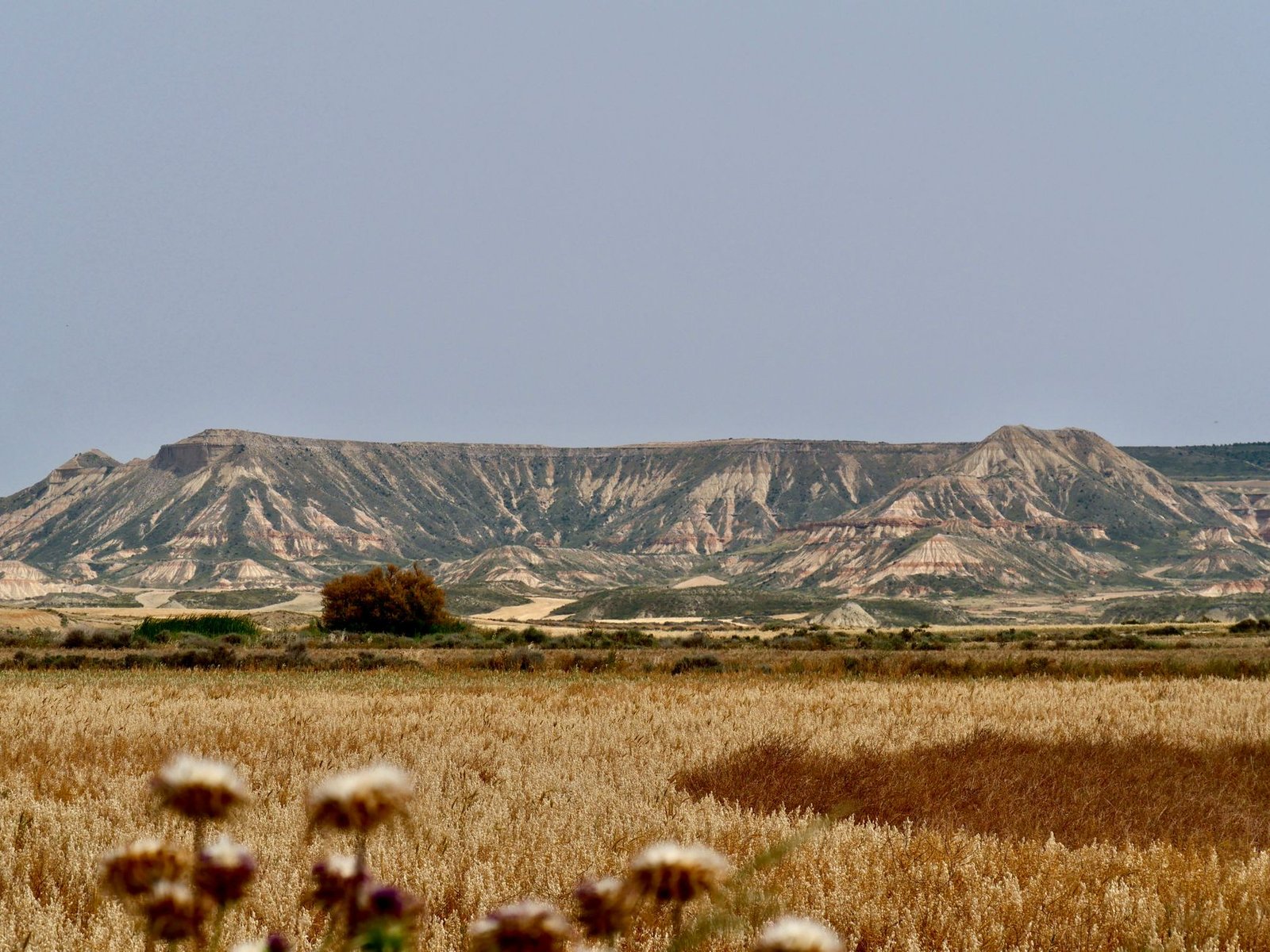 Formaciones rocosas y cárcavas del semidesierto de las Bardenas Reales, Navarra