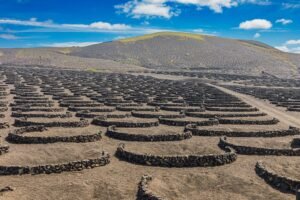 Viñedos de La Geria en Lanzarote, con los hoyos y muros de piedra volcánica característicos