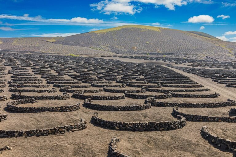 Viñedos de La Geria en Lanzarote, con los hoyos y muros de piedra volcánica característicos