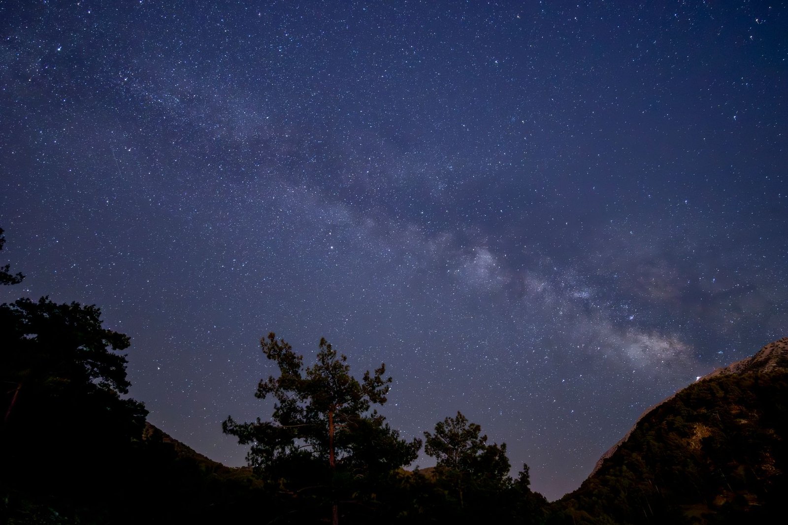 La Vía Láctea sobre árboles recortados contra el cielo nocturno estrellado