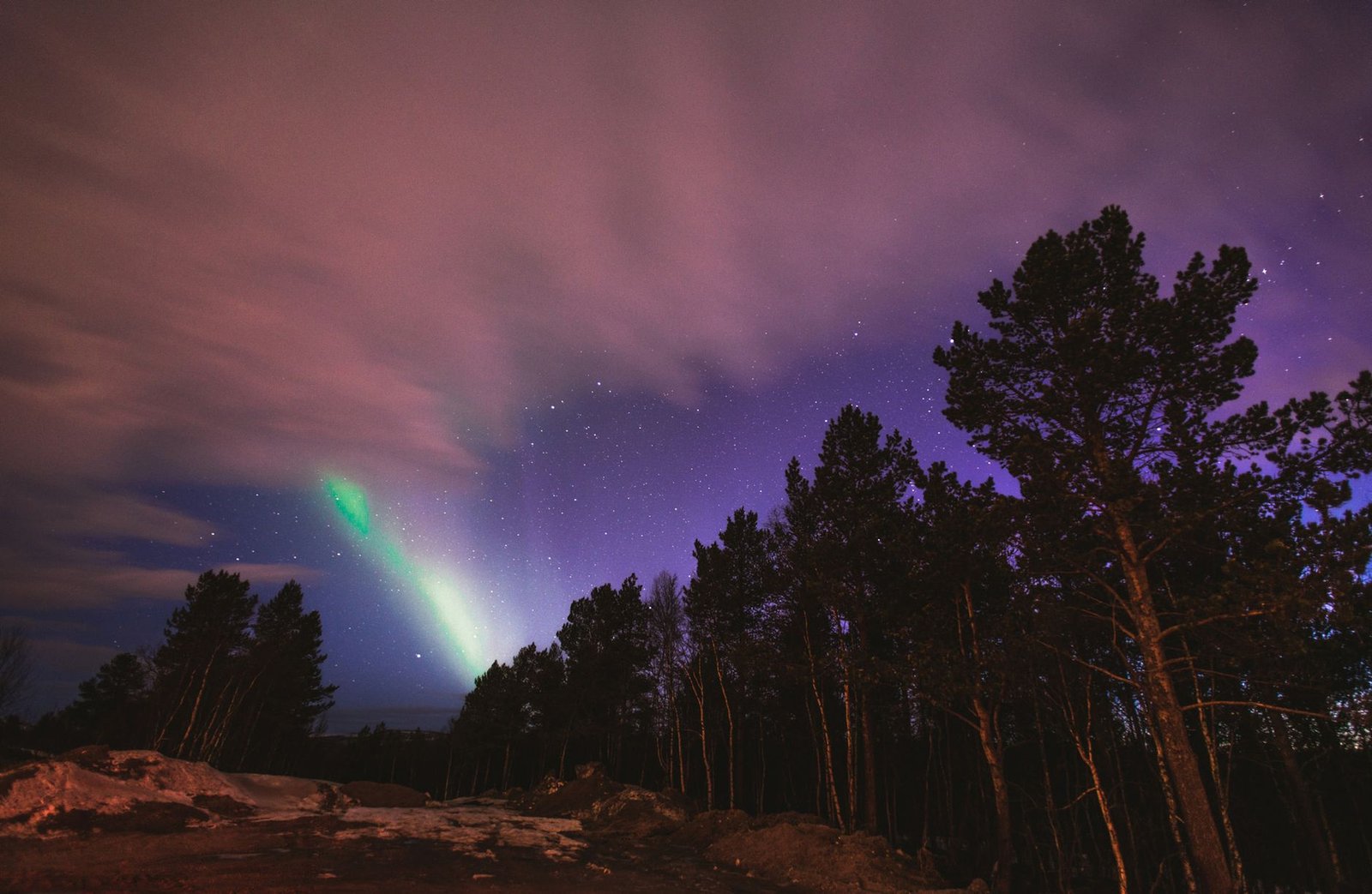 Aurora boreal iluminando el cielo estrellado sobre un bosque