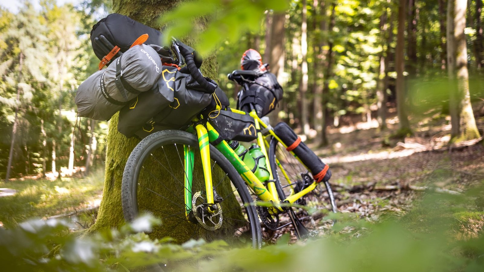 Bicicleta de bikepacking cargada con bolsas apoyada en un árbol en un bosque